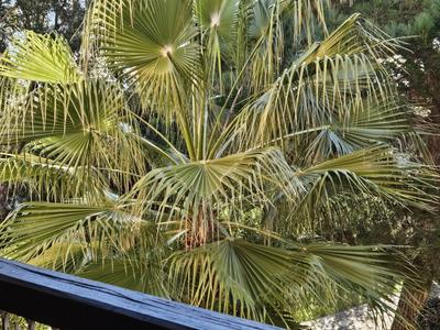 Appartement - 27 m² - 2 pièces