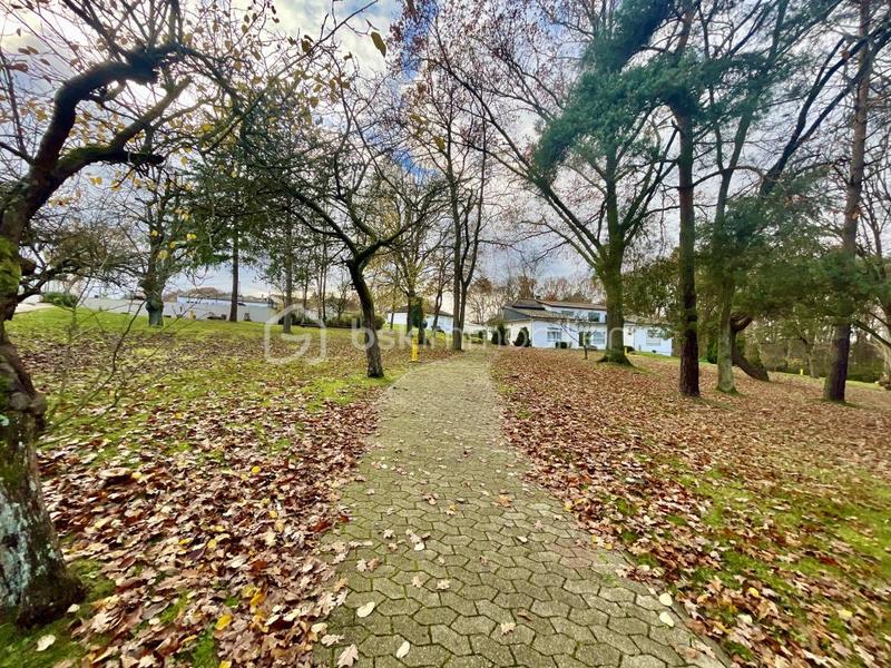 Bureau - 9 000 m² - 50 pièces