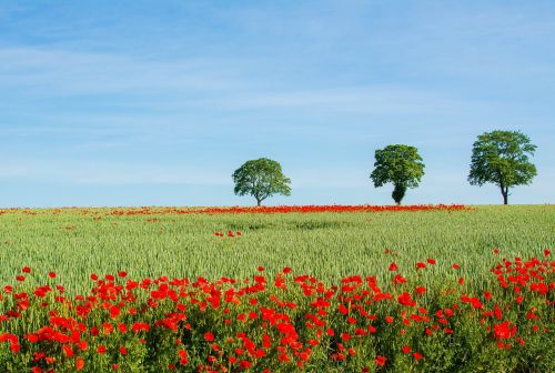 Gîtes de France Ardennes