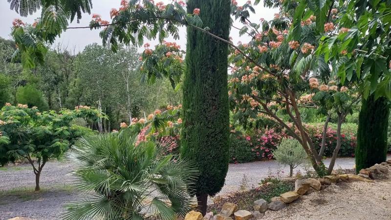 Villa - 284 m² - 6 pièces