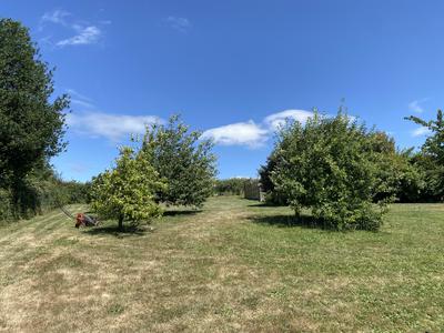 Maison - 101 m² - 5 pièces