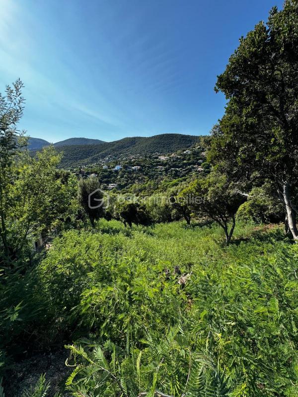 Terrain constructible - 1 198 m²