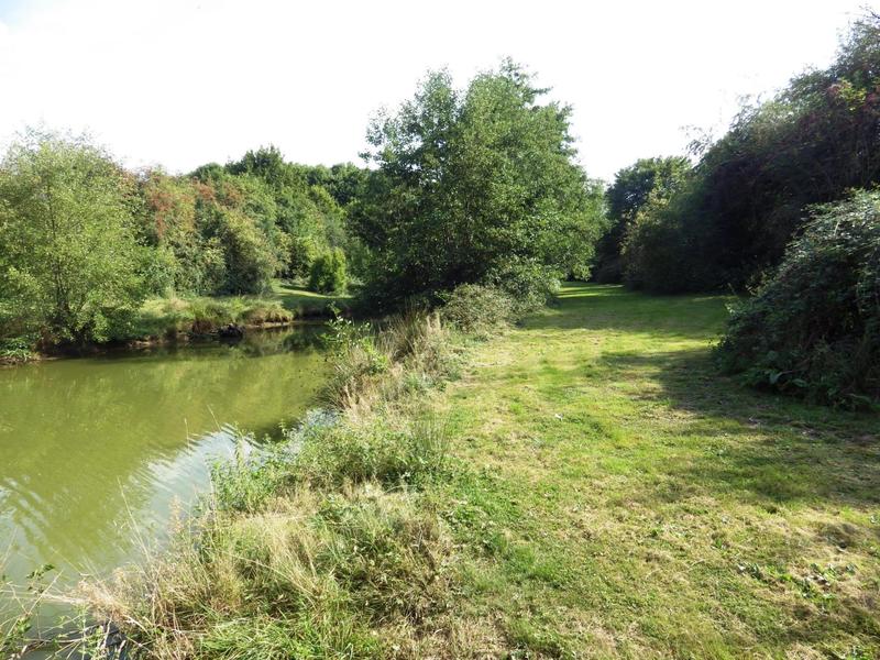 Terrain - 12 496 m²