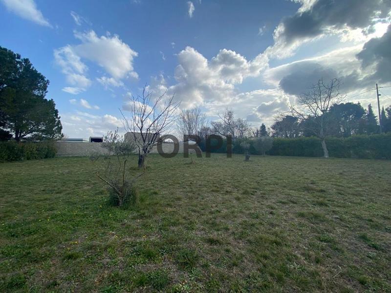 Terrain constructible - 3 700 m²