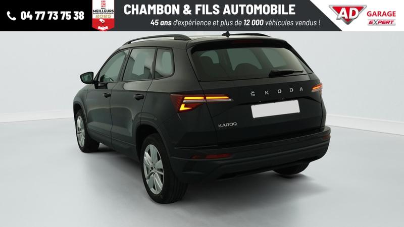 Skoda Karoq 2.0 Tdi 116 ch Scr Dsg7 Business