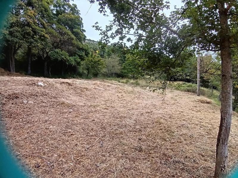 Terrain constructible - 2 295 m²