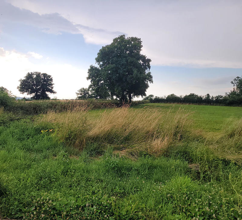 Maison - 188 m² - 5 pièces