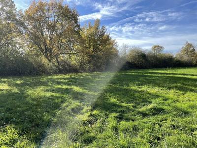 Terrain constructible