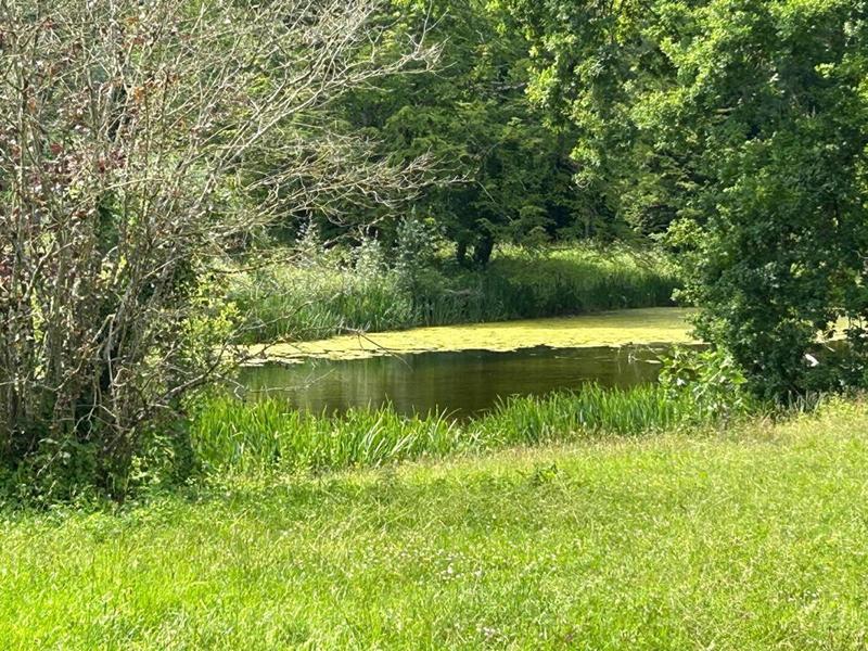 Maison - 484 m² - 12 pièces