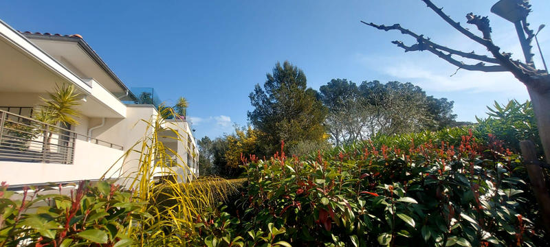 Appartement - 55 m² - 2 pièces