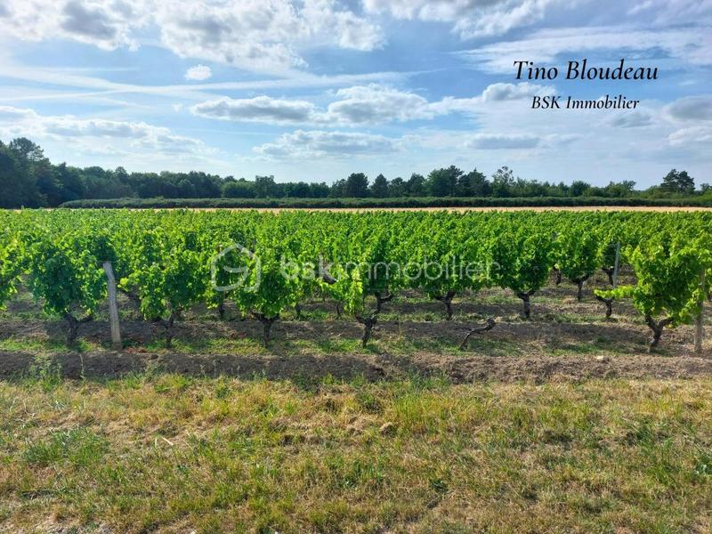 Maison - 93 m² - 4 pièces