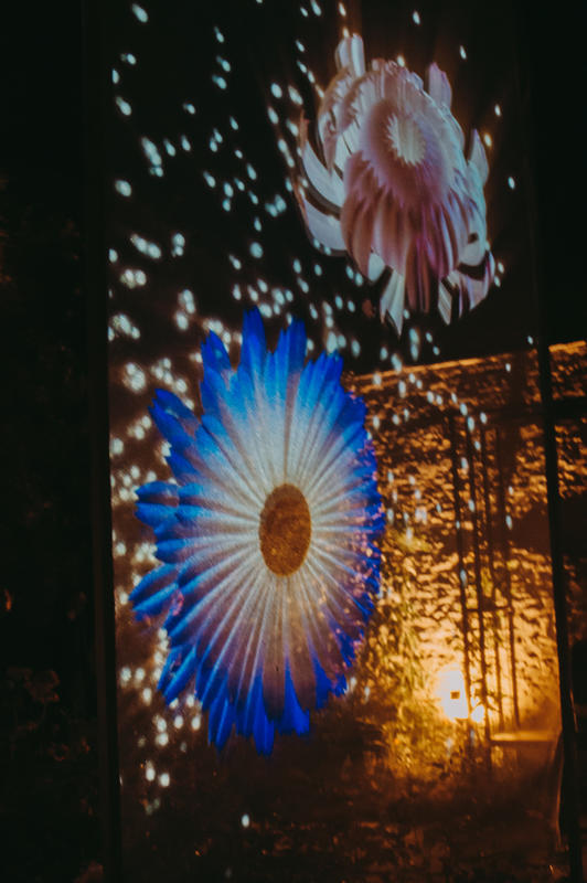 Les soirées illuminées d'été