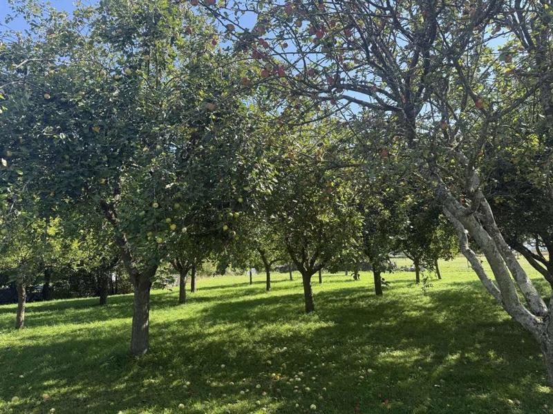 Terrain de loisirs - 11 549 m²