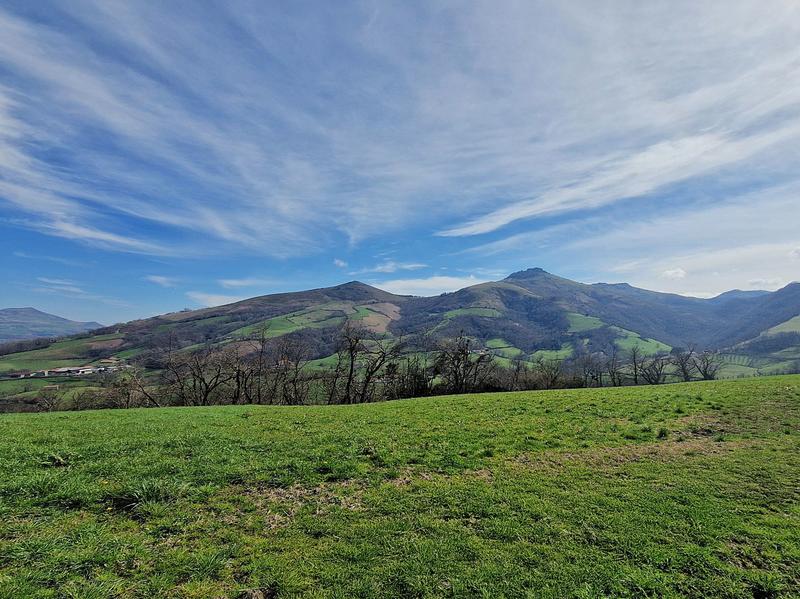 Maison - 311 m² - 14 pièces