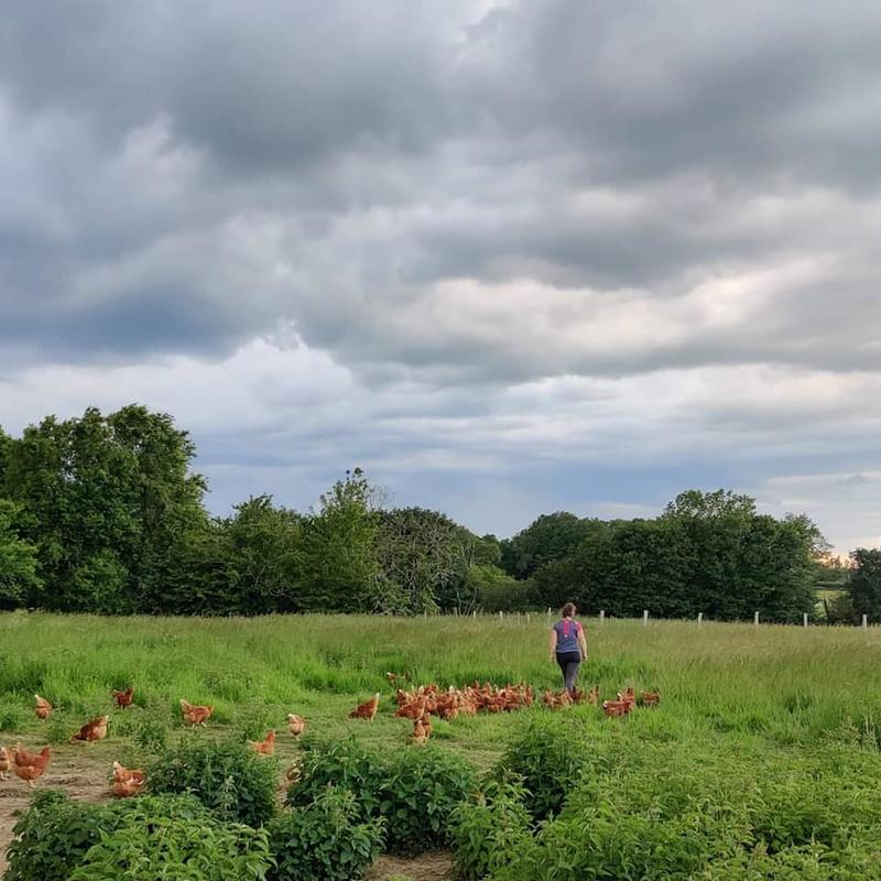La Ferme Biologique du Grand Bois
