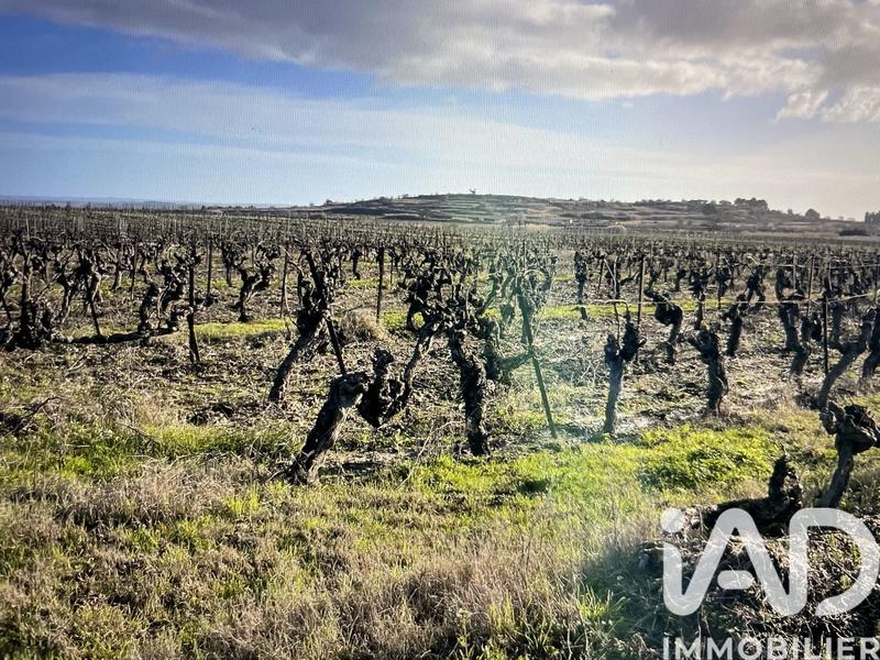 Terrain - 41 995 m²