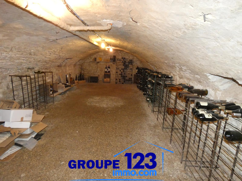 Maison - 369 m² - 9 pièces