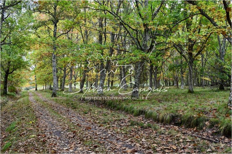 Propriété - 1 060 m² - 16 pièces