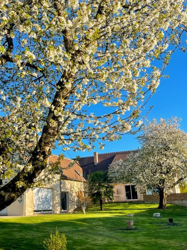 Maison - 370 m² - 8 pièces