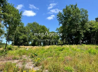 Terrain constructible - 3 338 m²