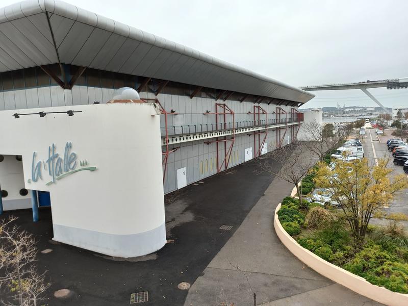 Concert : I gotta feeling