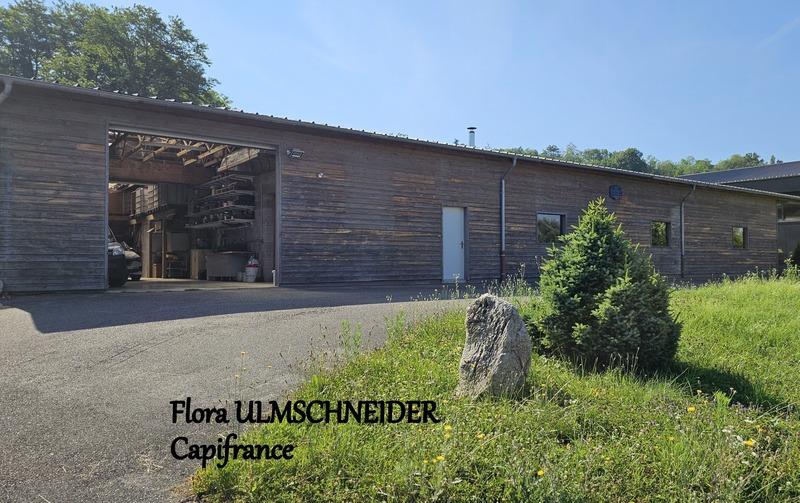 Bureau - 514 m² - 8 pièces