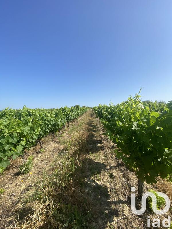 Terrain agricole - 58 175 m²
