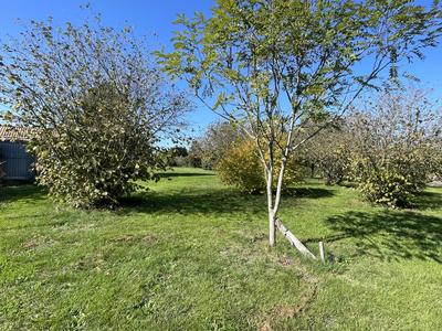 Terrain constructible - 1 160 m²