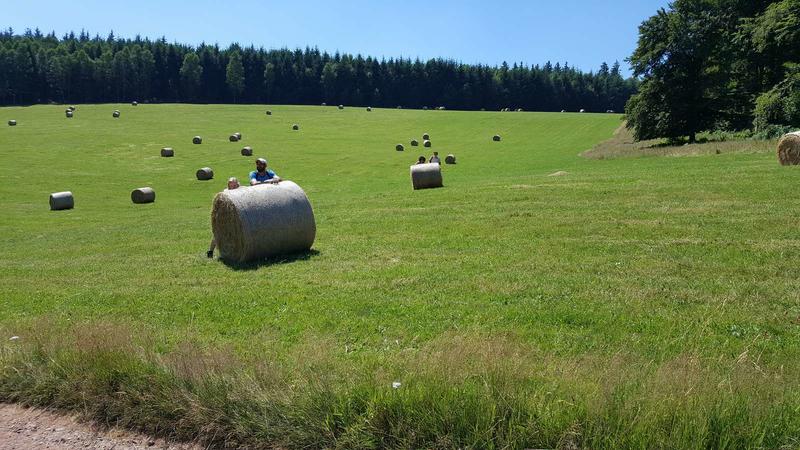Sentiers Plaisir : Sorcières, gardiennes d'un savoir ancestral