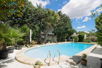 Maison - 365 m² - 11 pièces