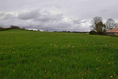 Terrain agricole - 3 000 m²