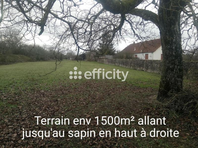 Maison - 130 m² - 2 pièces