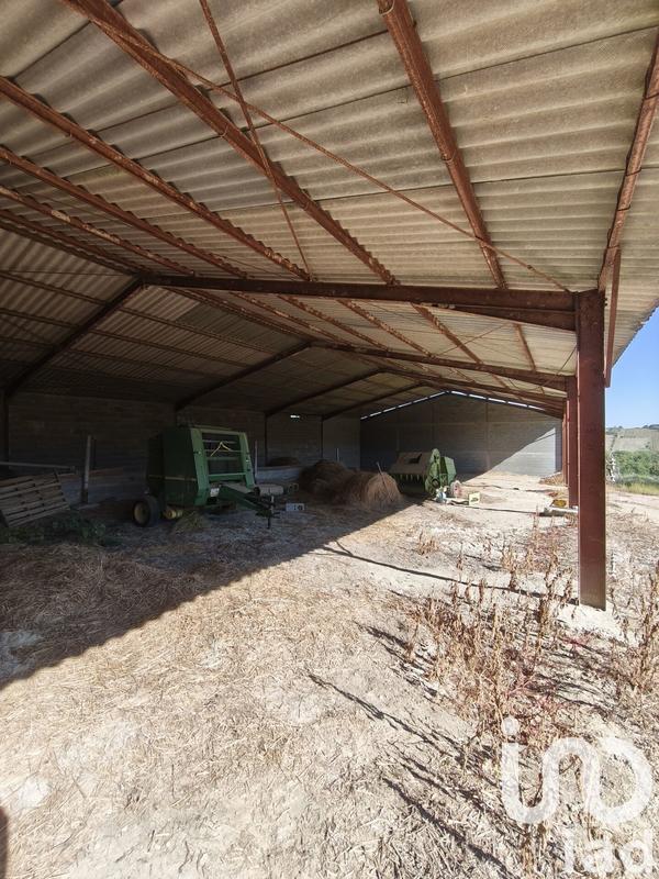 Terrain agricole - 934 462 m²