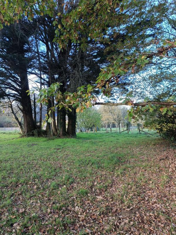 Terrain constructible - 1 190 m²