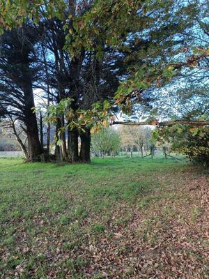 Terrain constructible - 1 190 m²