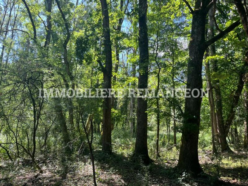 Grange - 40 m² - 1 pièce