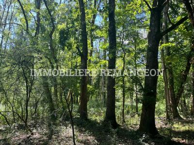 Grange - 40 m² - 1 pièce