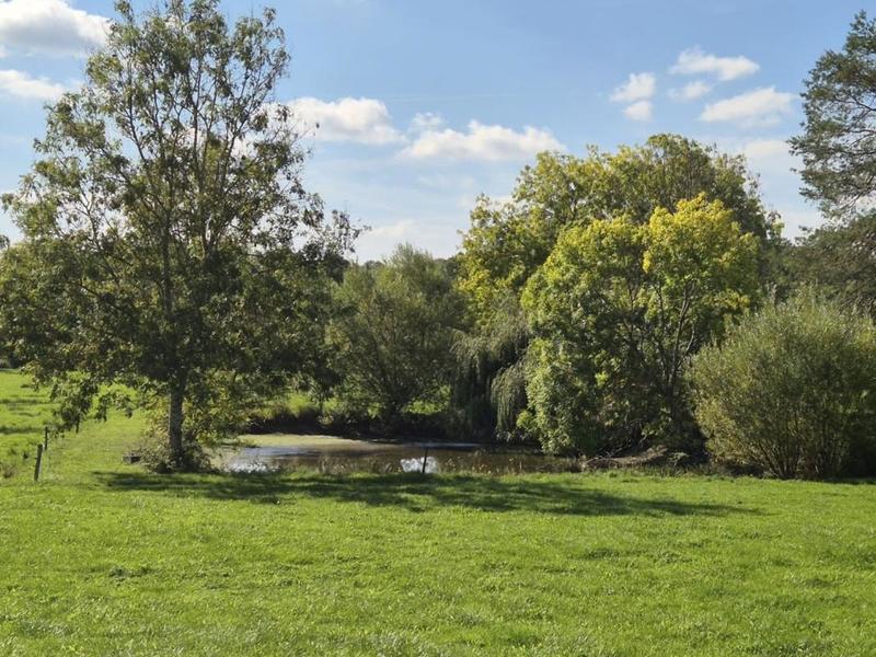 Pavillon - 136 m² - 5 pièces