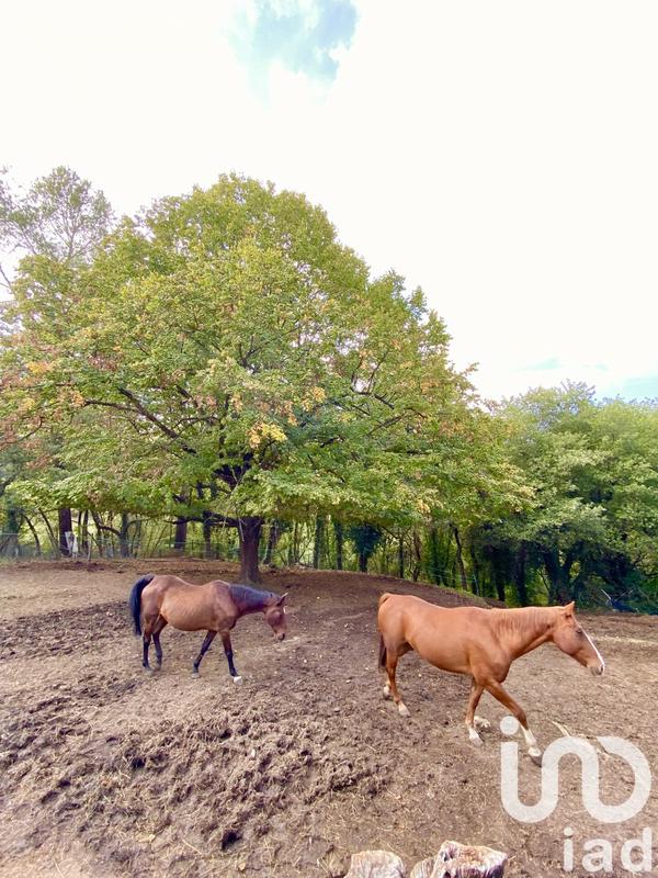 Maison - 220 m² - 7 pièces