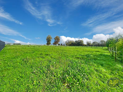 Maison - 215 m² - 8 pièces