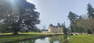 Manoir - 600 m² - 12 pièces