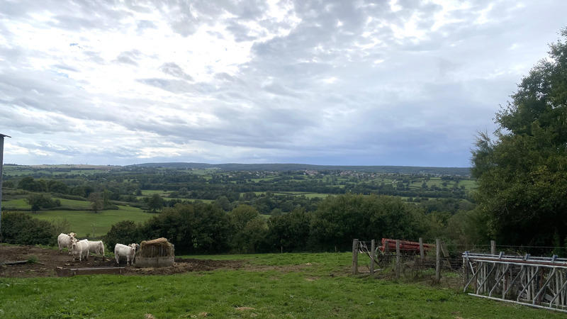 Maison en pierre - 125 m² - 7 pièces