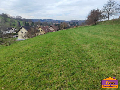 Terrain - 980 m²