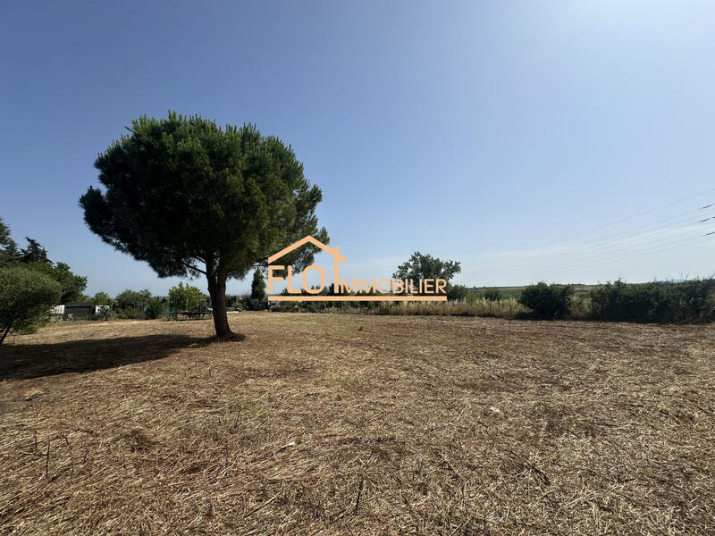 Terrain agricole - 5 550 m²