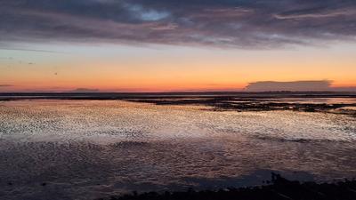 Terrain constructible - 1 073 m²