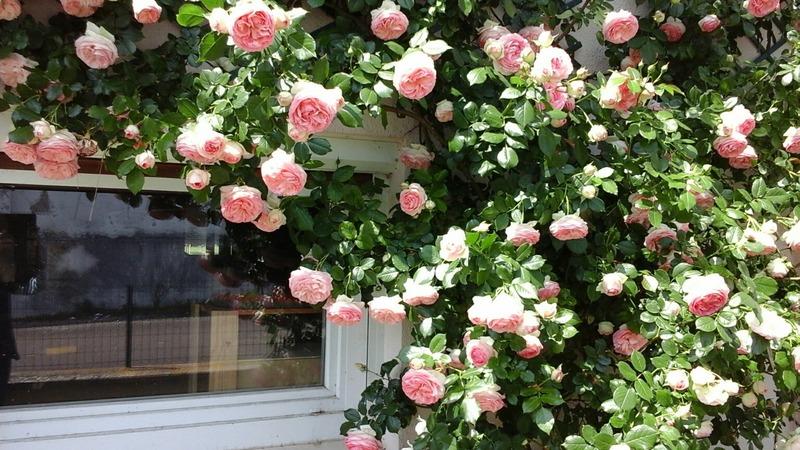 Maison de village - 87 m² - 5 pièces