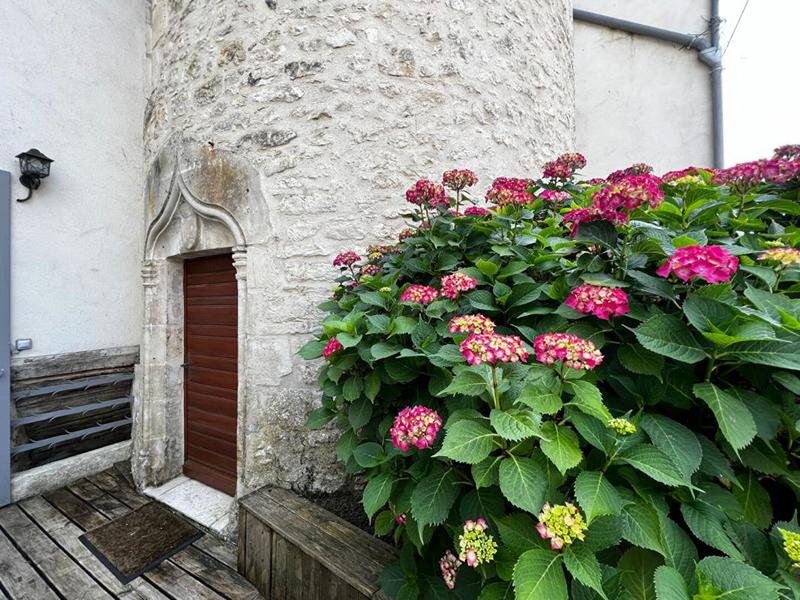 Maison - 259 m² - 8 pièces