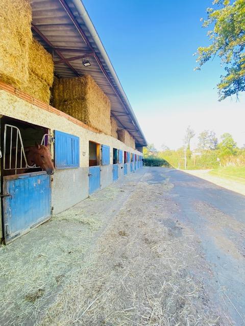 Maison de domaine équestre - 100 m² - 8 pièces