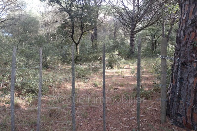 Terrain - 10 000 m²