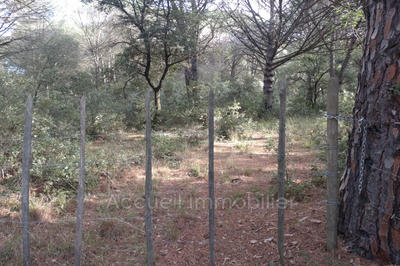 Terrain - 10 000 m²